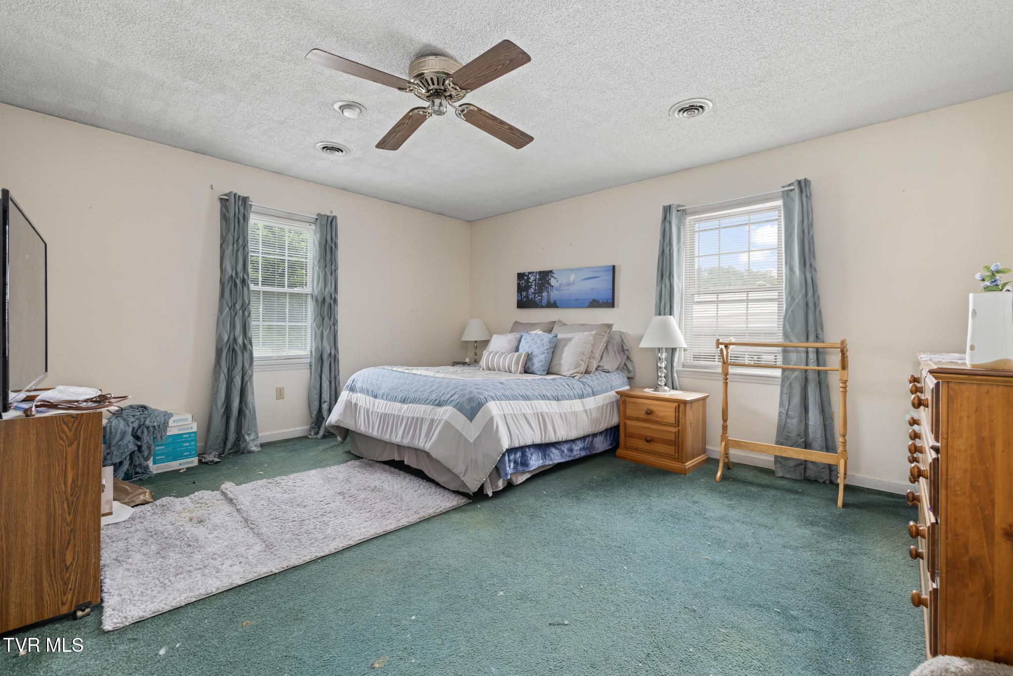 137 Mountain View Drive, Johnson City, Tennessee image 17