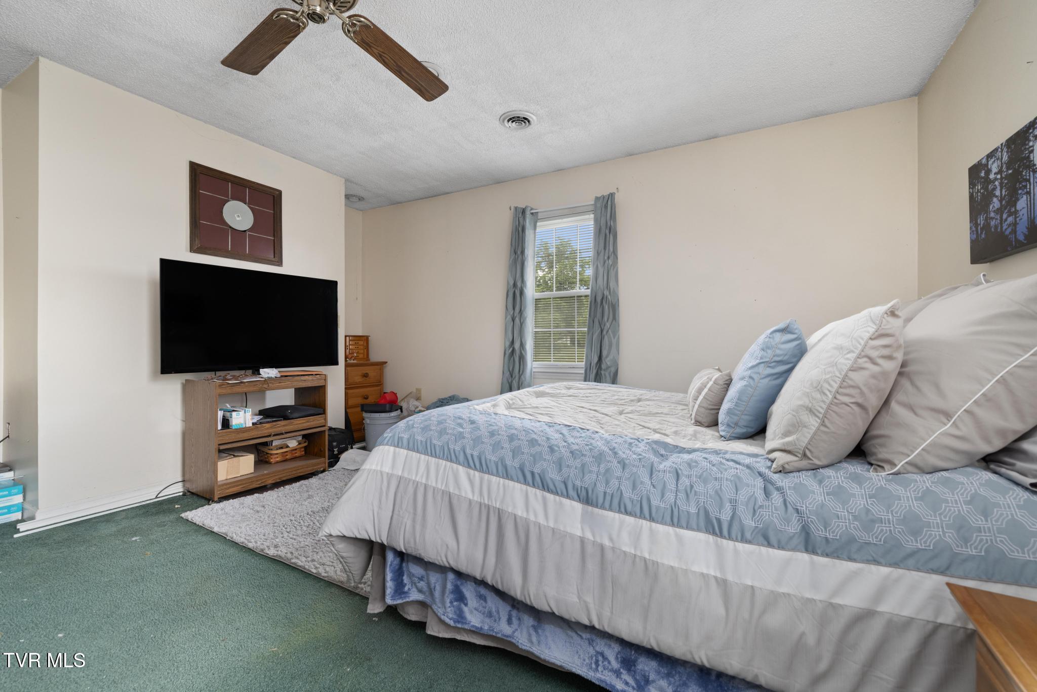 137 Mountain View Drive, Johnson City, Tennessee image 18