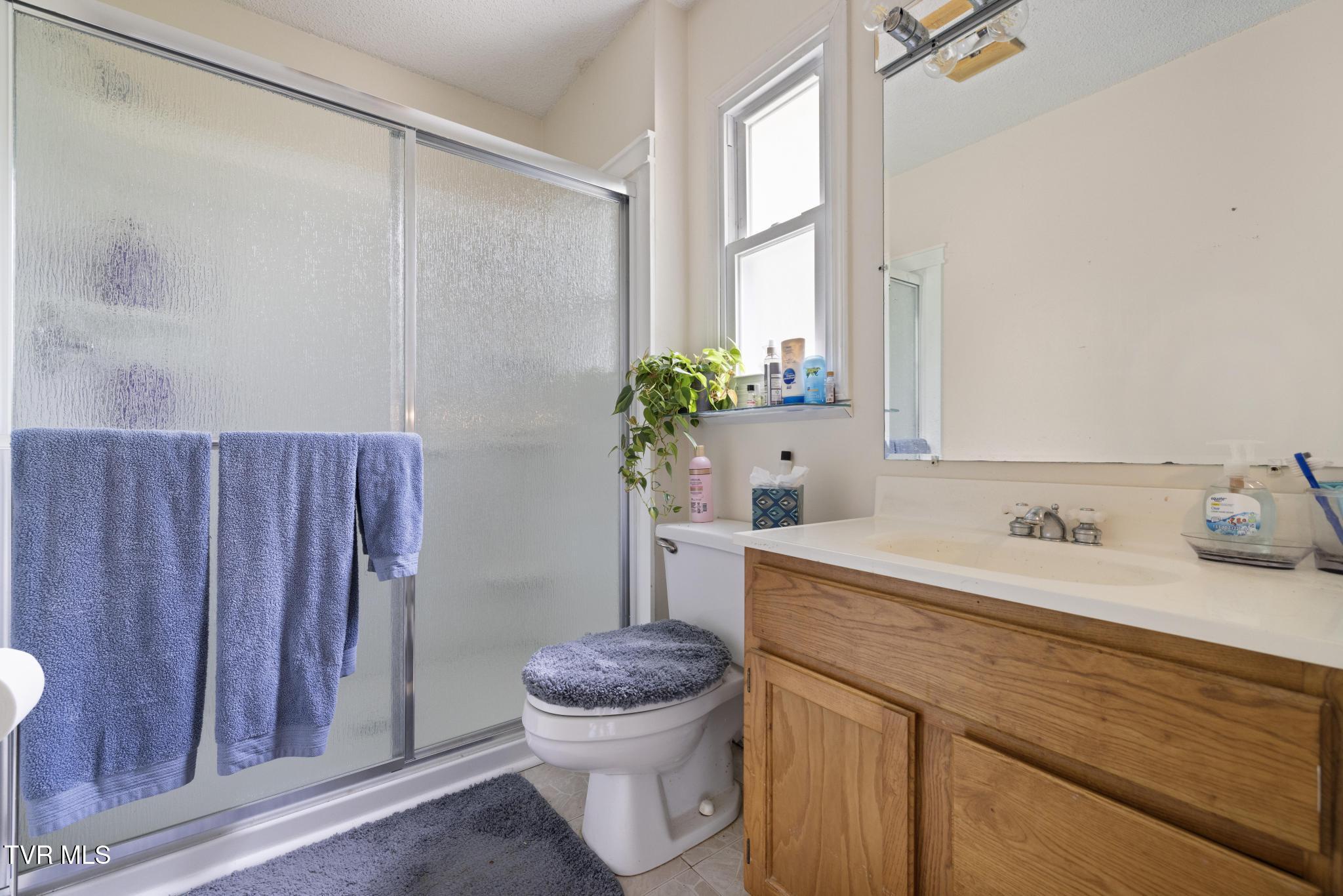 137 Mountain View Drive, Johnson City, Tennessee image 19