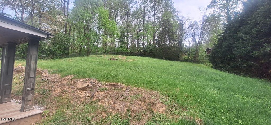 Photo of 1638 Charlotte Drive, Elizabethton, TN 37643 (MLS # 9994653)