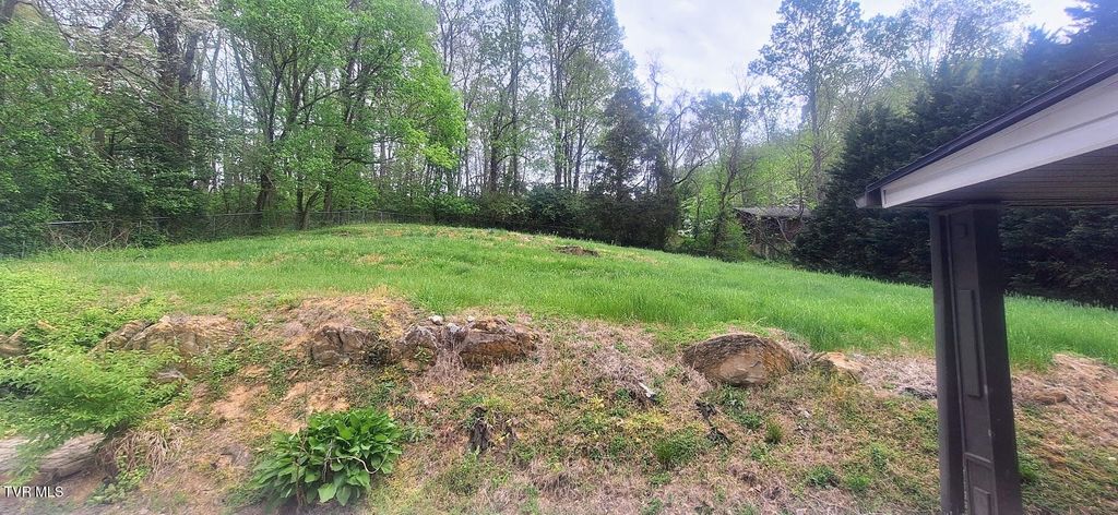 Photo of 1638 Charlotte Drive, Elizabethton, TN 37643 (MLS # 9994653)