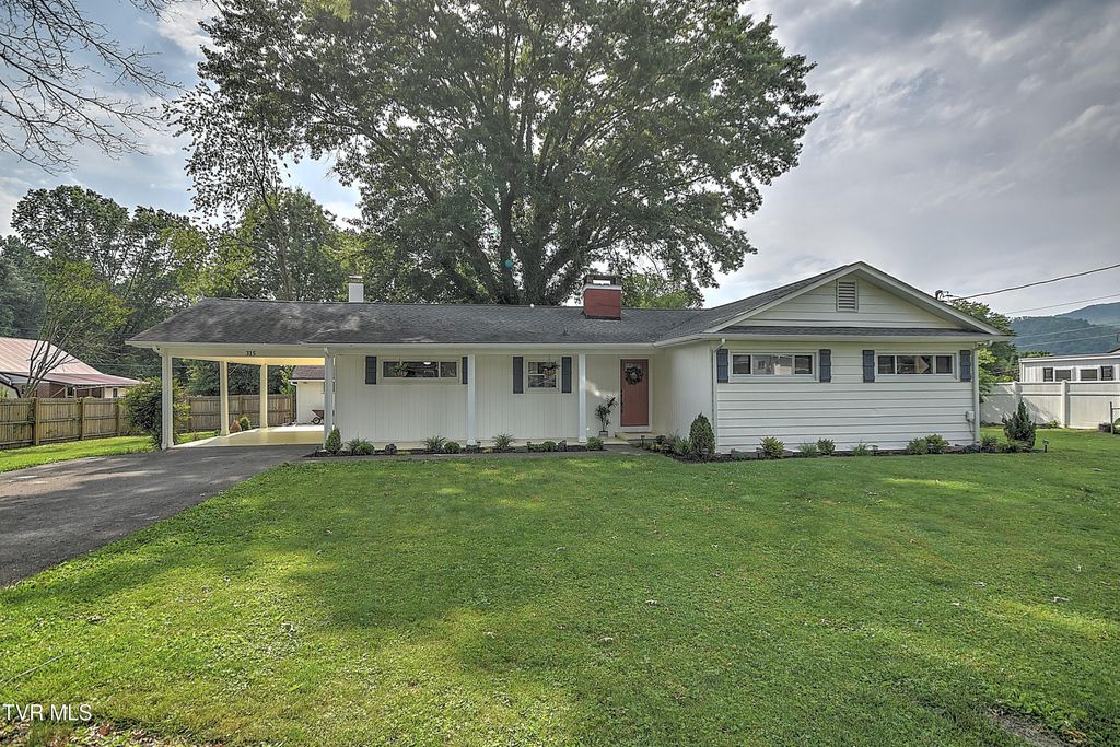 Photo of 315 Liberty Avenue, Erwin, TN 37650 (MLS # 9992028)