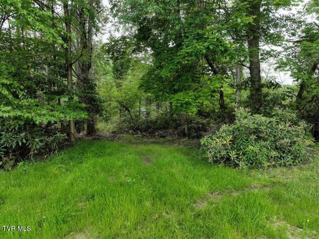 Photo of 1768 Ripshin Mountain Road, Roan Mountain, TN 37687 (MLS # 9992740)
