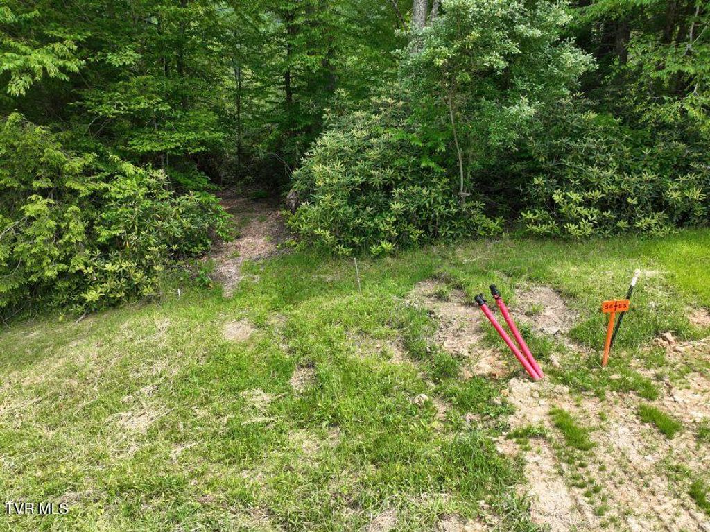 Photo of 1768 Ripshin Mountain Road, Roan Mountain, TN 37687 (MLS # 9992740)