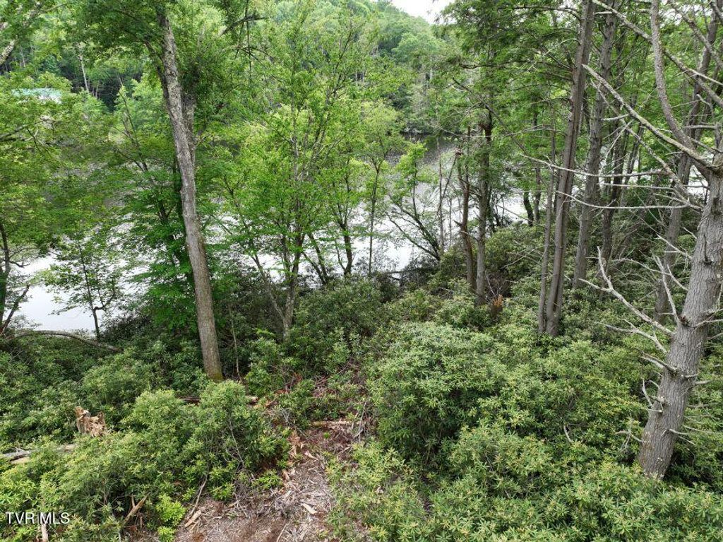 Photo of 1768 Ripshin Mountain Road, Roan Mountain, TN 37687 (MLS # 9992740)