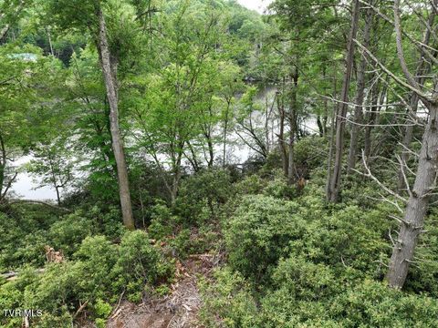 Vacant Land For Sale - 1768 Ripshin Mountain Road<br/> Roan Mountain, TN 37687