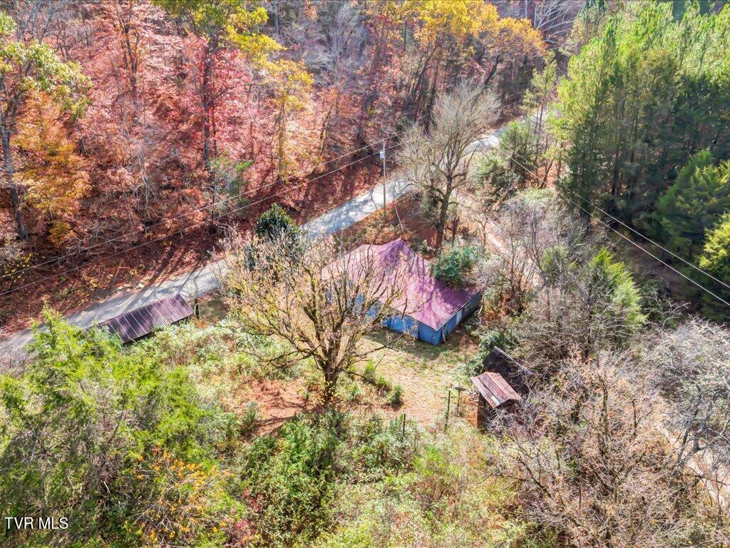 1200 Jackson Hollow Road, Mosheim, Tennessee image 15