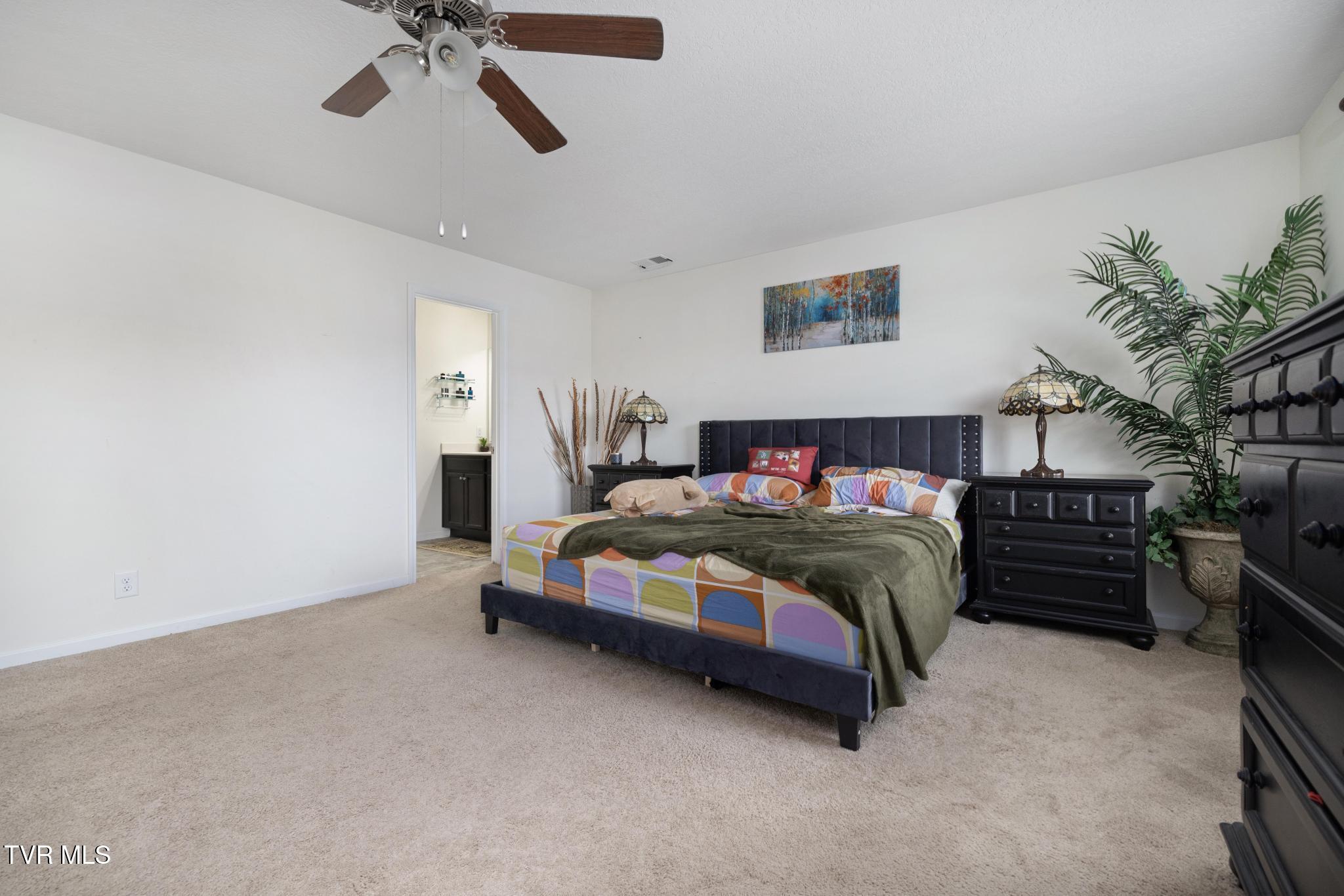 478 Brinkleys Way, Johnson City, Tennessee image 29