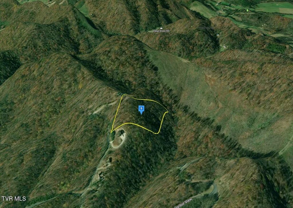 Photo of 9098 Paradise View Drive, Mooresburg, TN 37811 (MLS # 9988402)