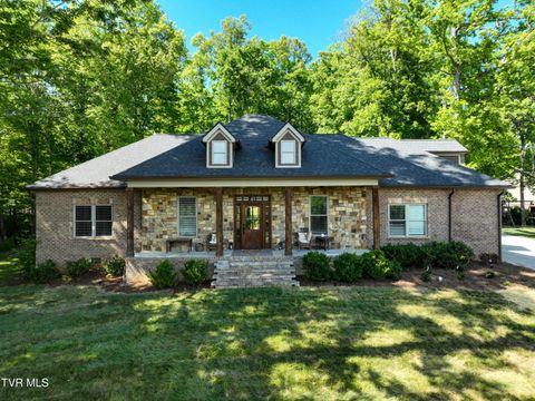 Photo of 104 Lookout Court, Blountville, TN 37617 (MLS # 9995514)