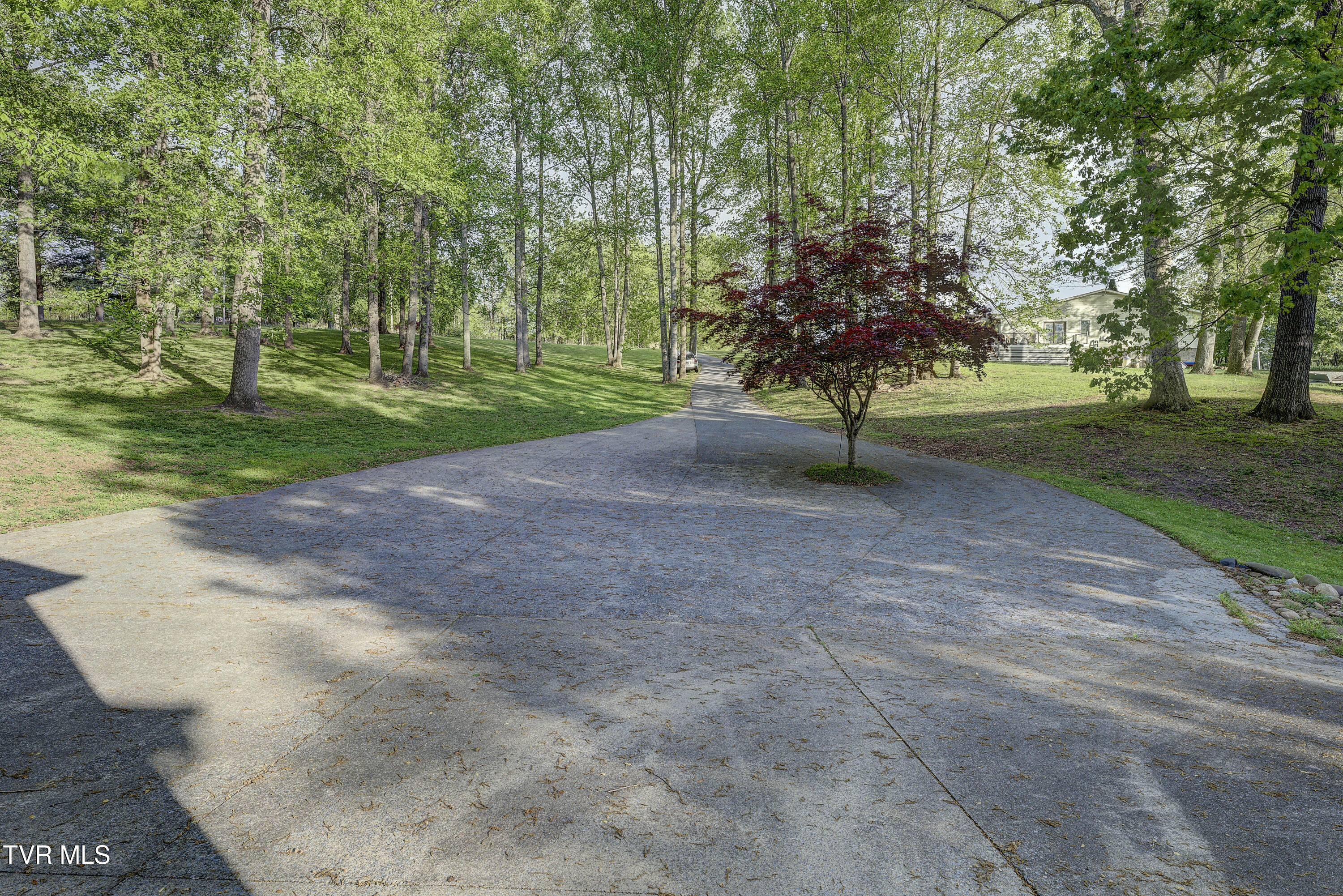 768 Lake Point Drive, Piney Flats, Tennessee image 6