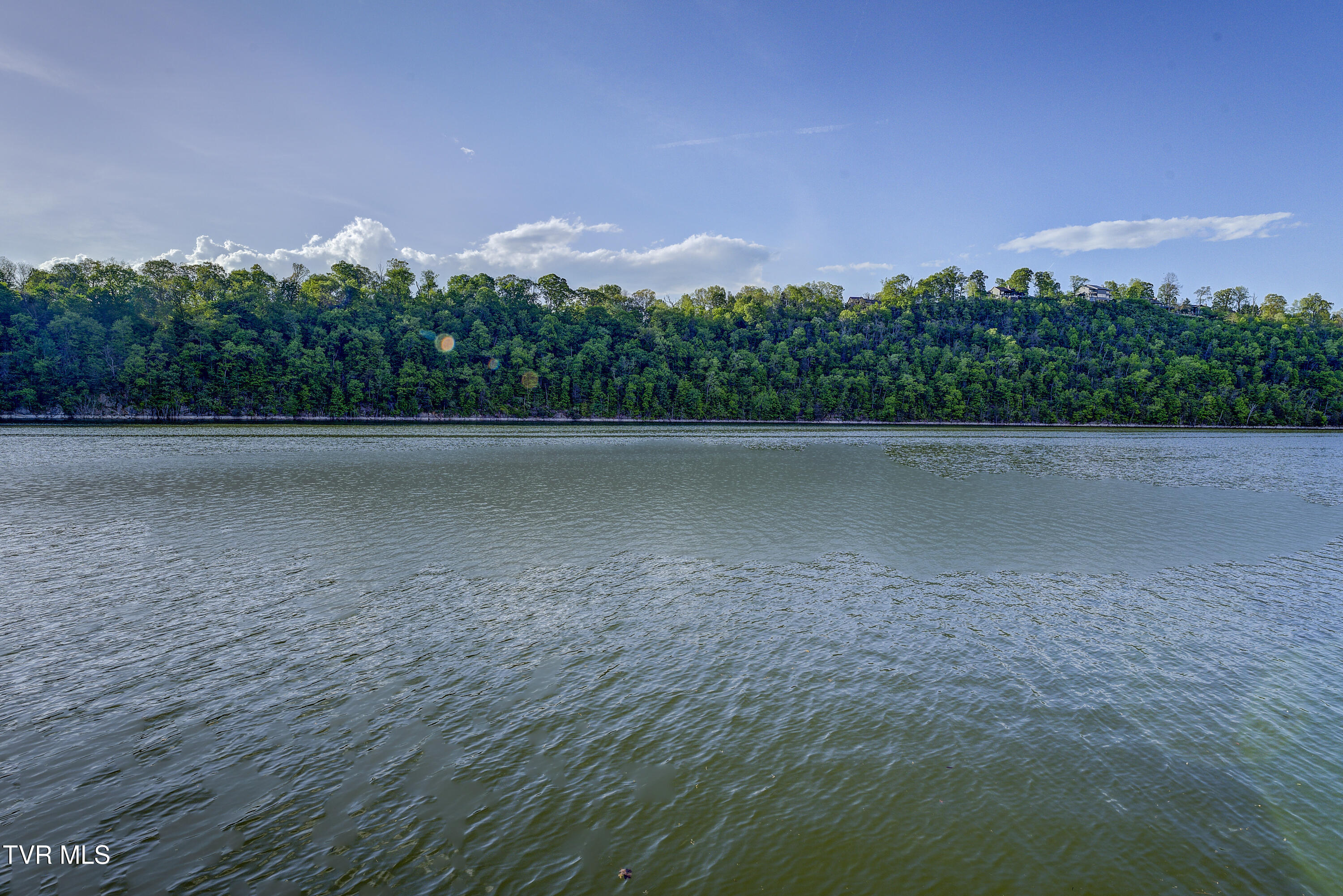 768 Lake Point Drive, Piney Flats, Tennessee image 25