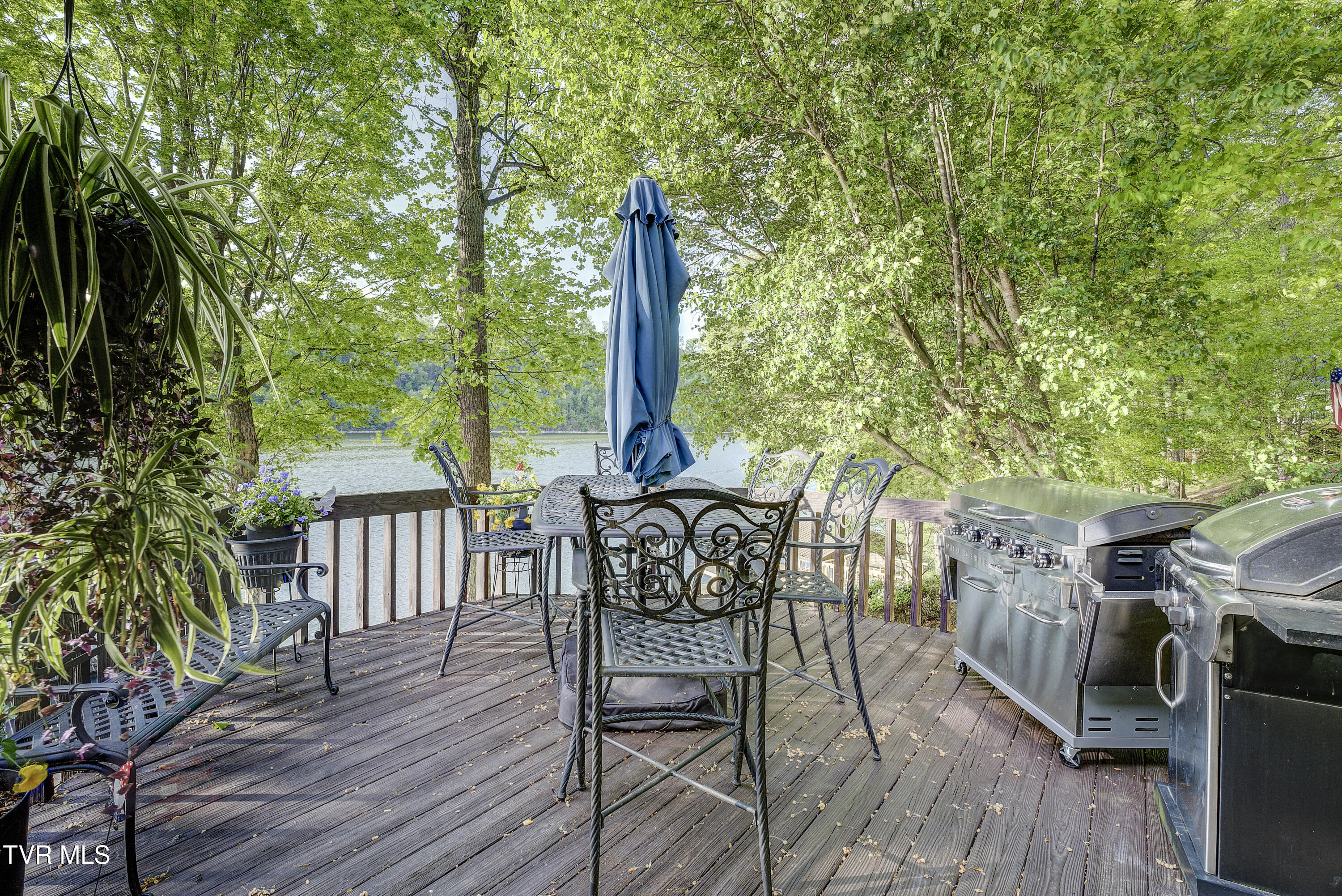 768 Lake Point Drive, Piney Flats, Tennessee image 21