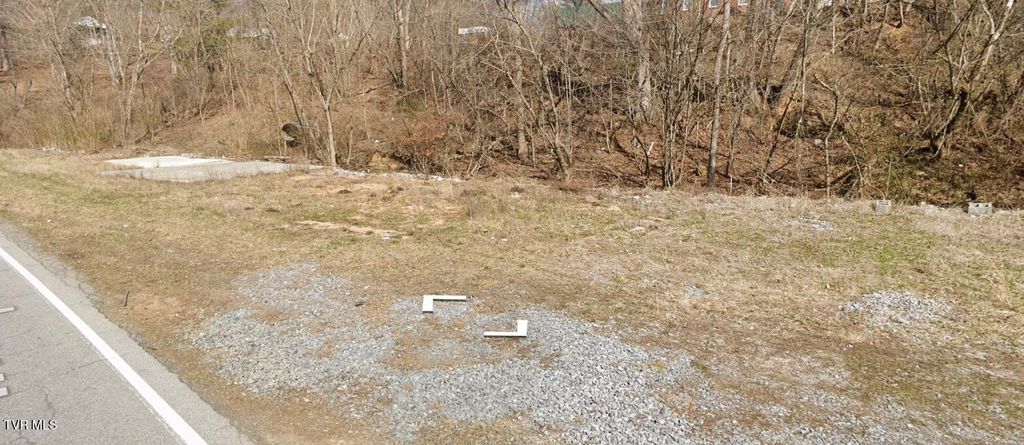 Photo of 310 Independence Avenue, Mount Carmel, TN 37645 (MLS # 9990431)