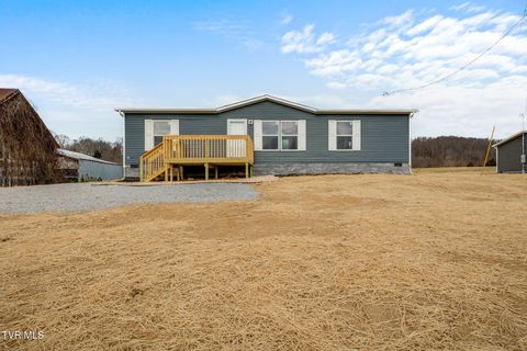 Photo of 899 Milburnton Road, Limestone, TN 37681 (MLS # 9989658)