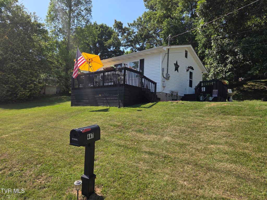 Photo of 447 Pine Street, Mount Carmel, TN 37645 (MLS # 9995619)