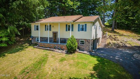 Photo of 138 Lexington Avenue, Elizabethton, TN 37643 (MLS # 9995718)