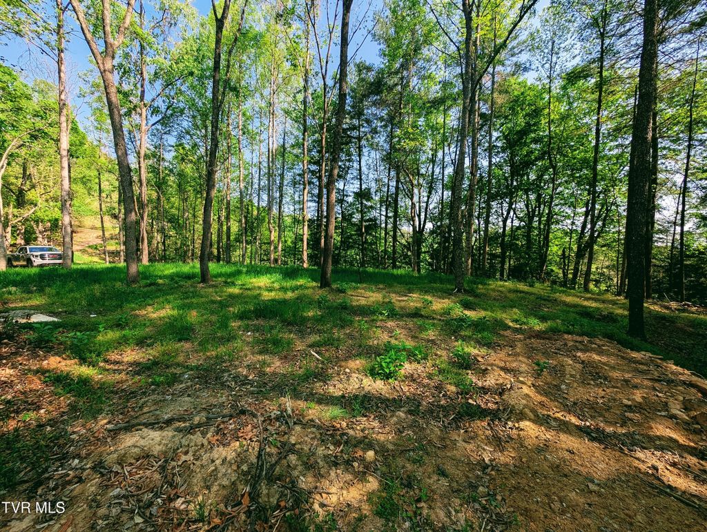 Photo of Tbd Leaf Ridge, Clintwood, VA 24228 (MLS # 9994527)