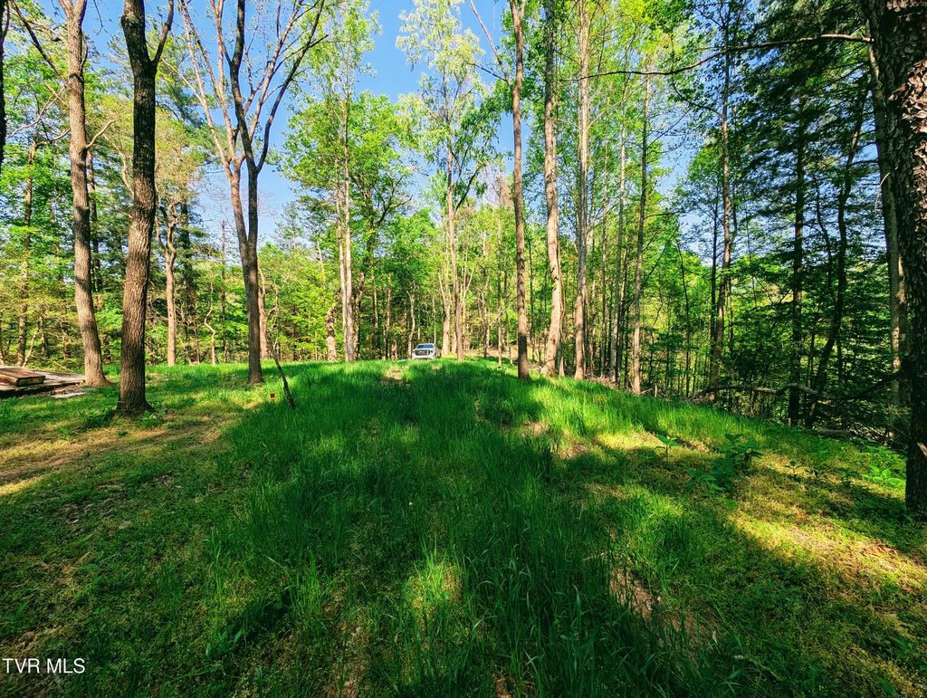Photo of Tbd Leaf Ridge, Clintwood, VA 24228 (MLS # 9994527)