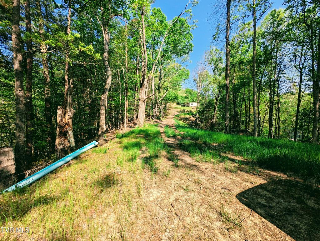 Photo of Tbd Leaf Ridge, Clintwood, VA 24228 (MLS # 9994527)