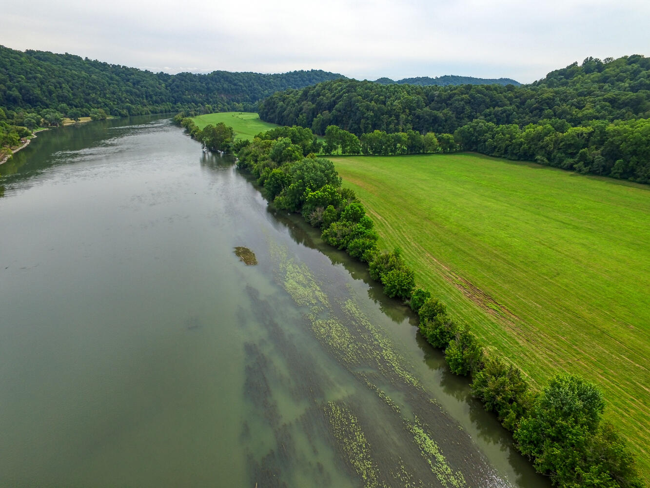 Tbd3 Richards Road, Rogersville, Tennessee image 14