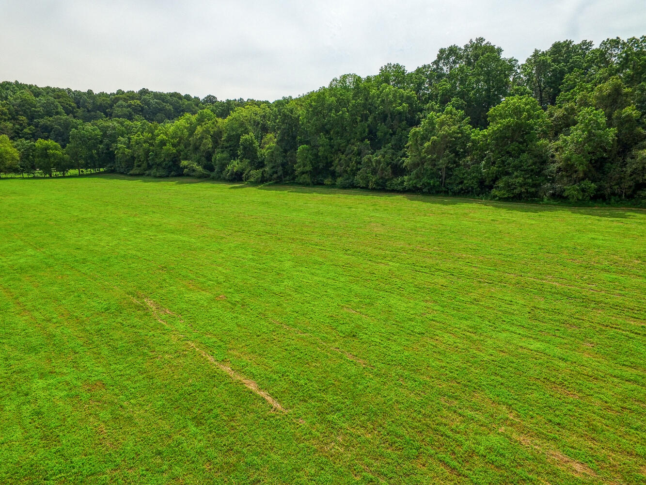 Tbd3 Richards Road, Rogersville, Tennessee image 3
