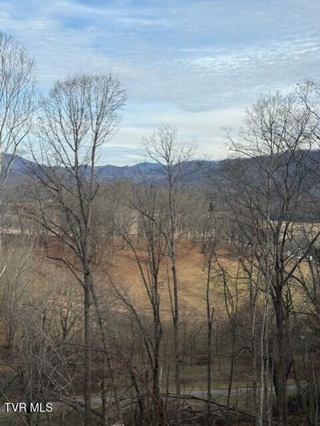 Photo of Tbd Mining Ridge Road, Mountain City, TN 37683 (MLS # 9990011)