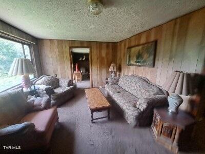 417 Bear Branch Road, Roan Mountain, Tennessee image 5