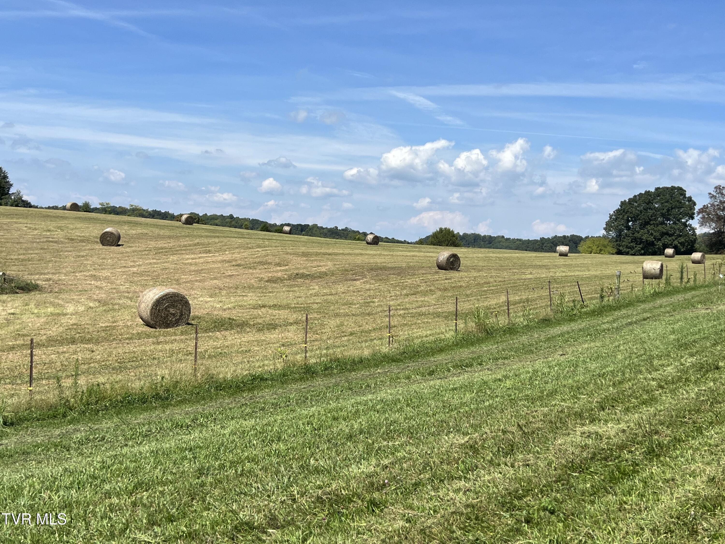 640 Pates Hill Road, Mosheim, Tennessee image 31