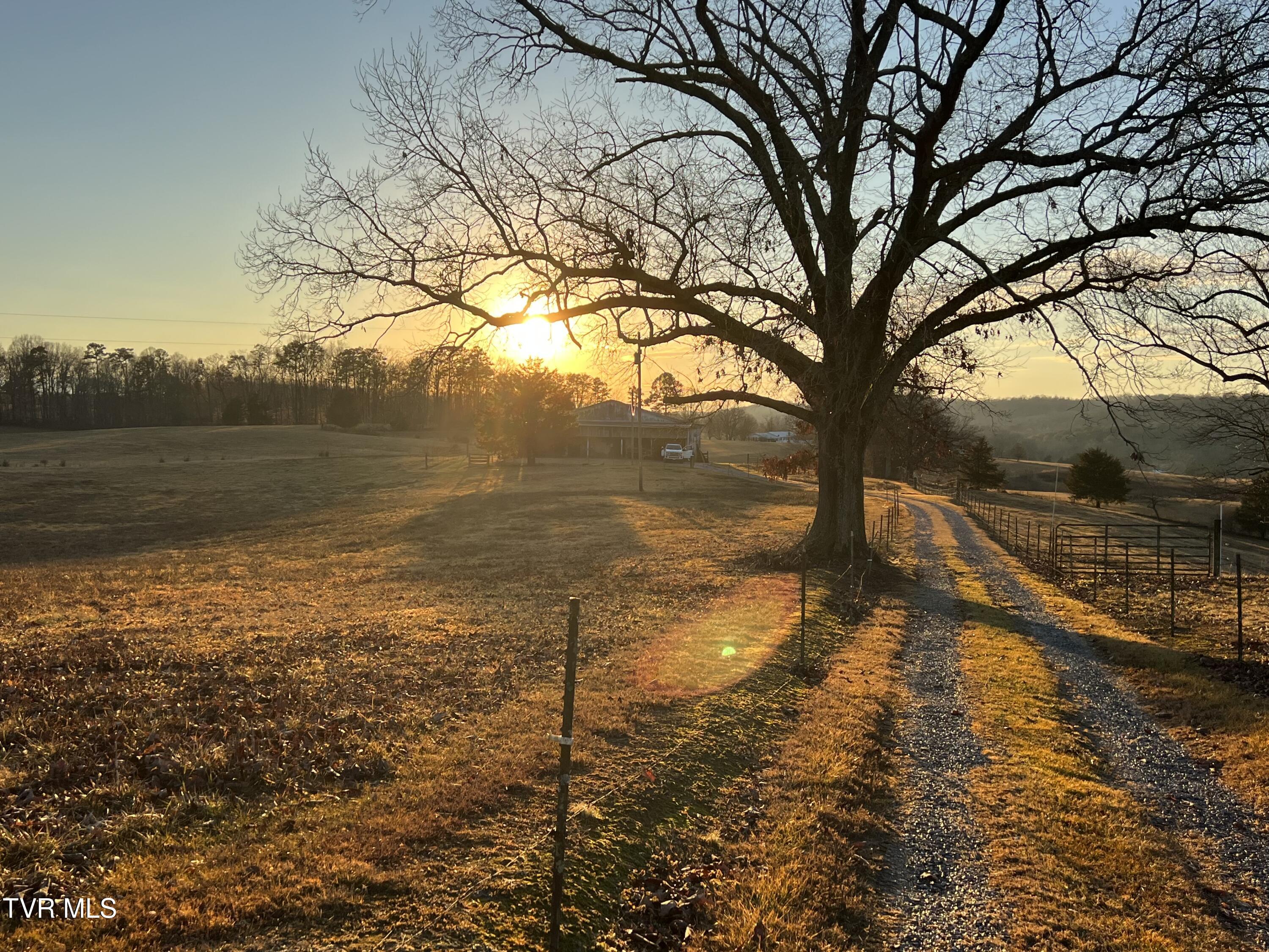 640 Pates Hill Road, Mosheim, Tennessee image 23