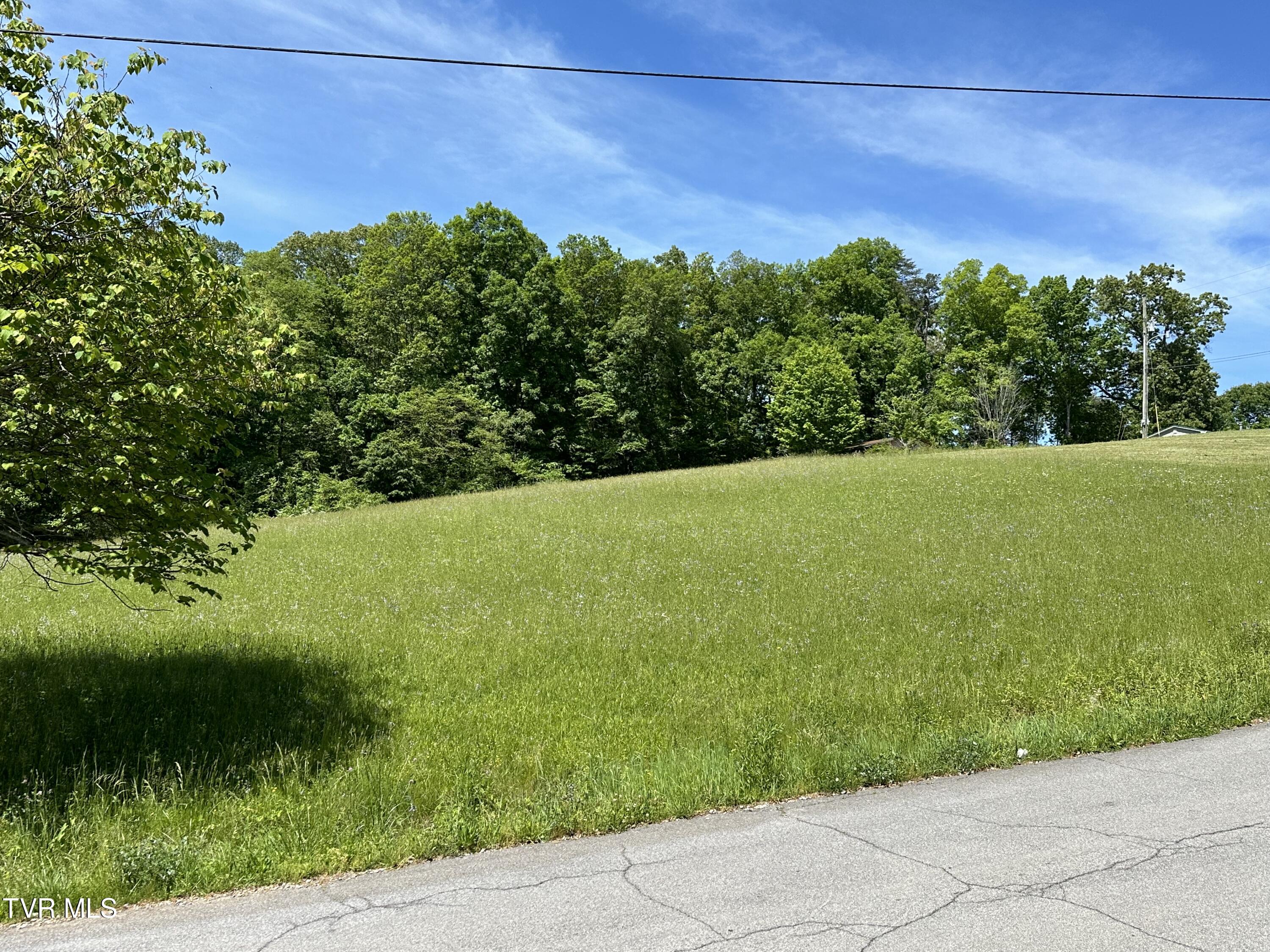Tbd Tipton Avenue, Church Hill, Tennessee image 4