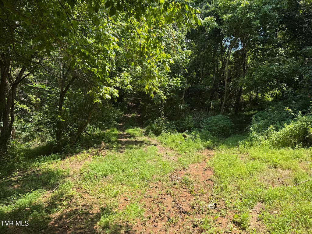Photo of 00 Old Mine Road, Greeneville, TN 37745 (MLS # 9997876)