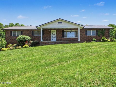 Photo of 2517 Sinking Creek Road, Johnson City, TN 37604 (MLS # 9995279)