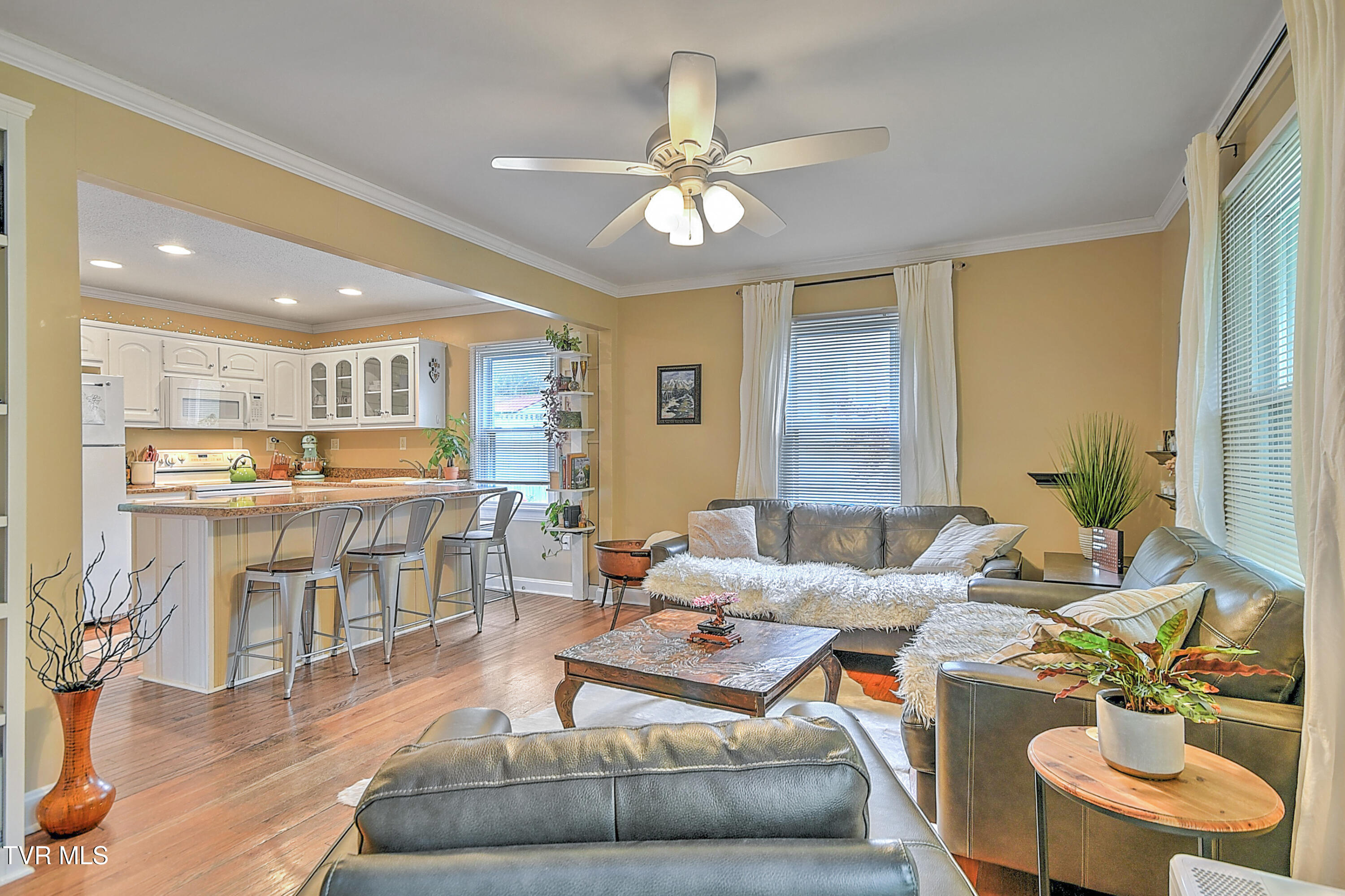 1202 Barton St Street, Johnson City, Tennessee image 9