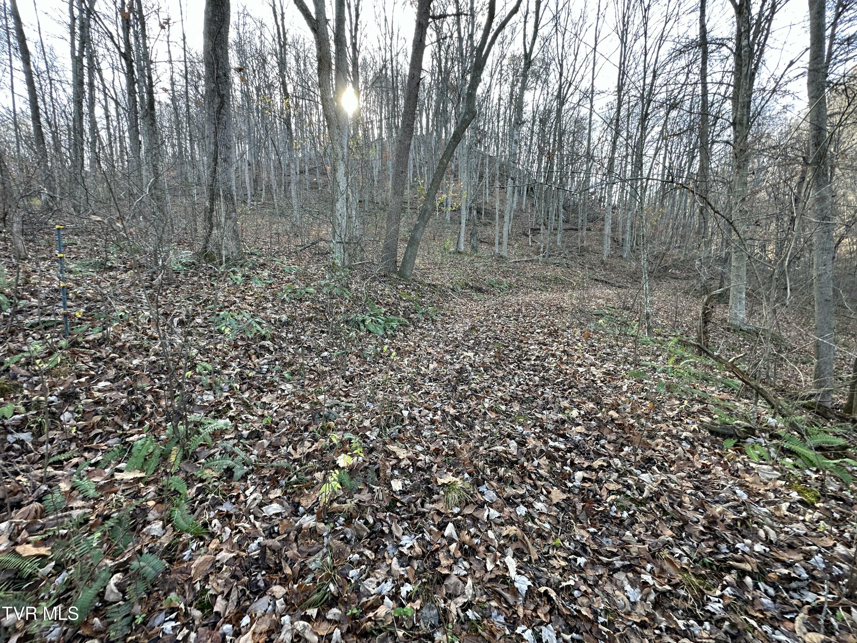 2979 Manville Road, Gate City, Virginia image 23