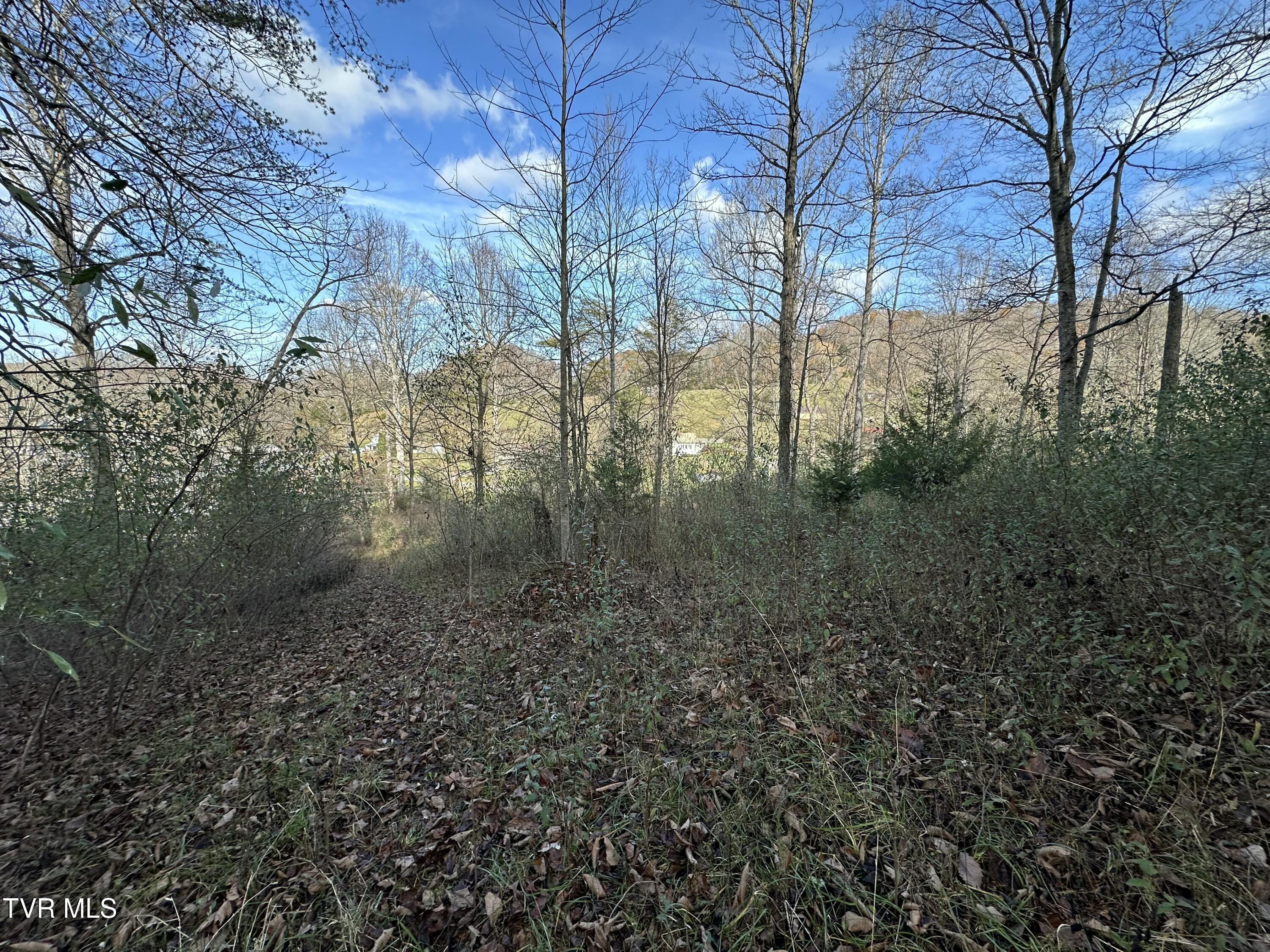 2979 Manville Road, Gate City, Virginia image 26