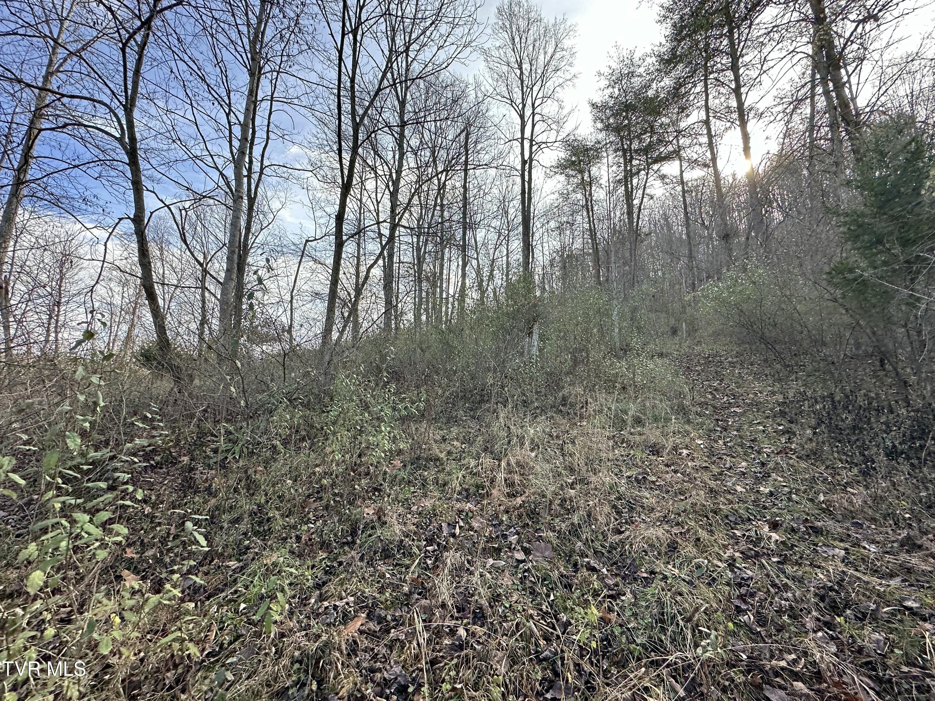 2979 Manville Road, Gate City, Virginia image 27