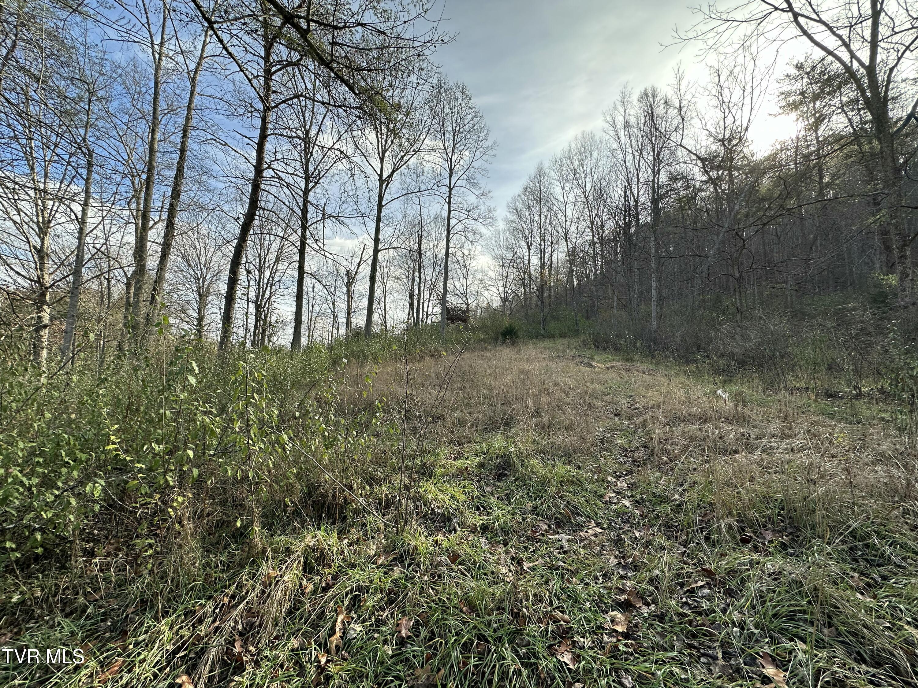 2979 Manville Road, Gate City, Virginia image 31