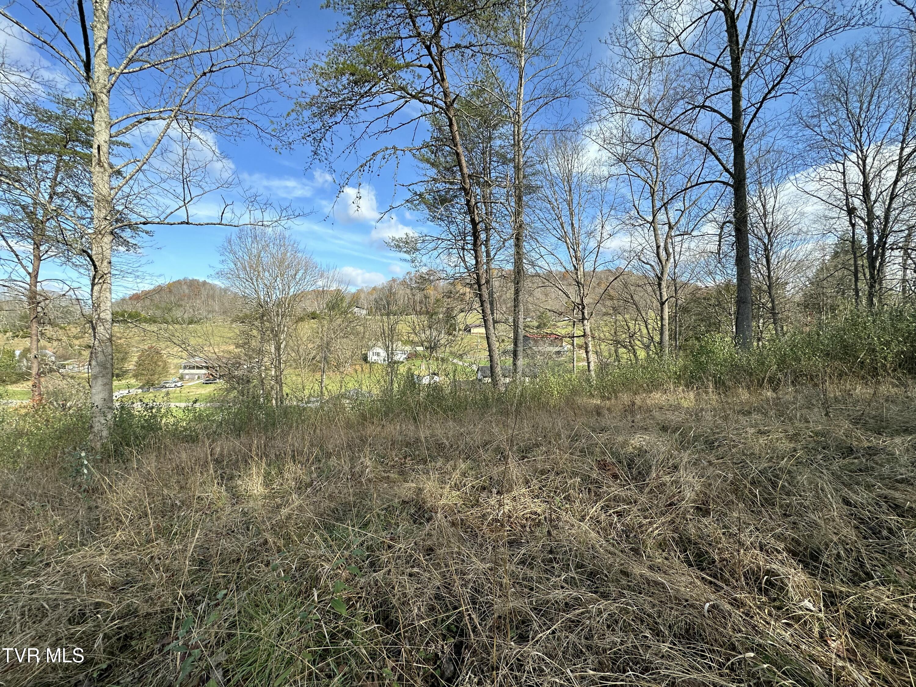 2979 Manville Road, Gate City, Virginia image 30