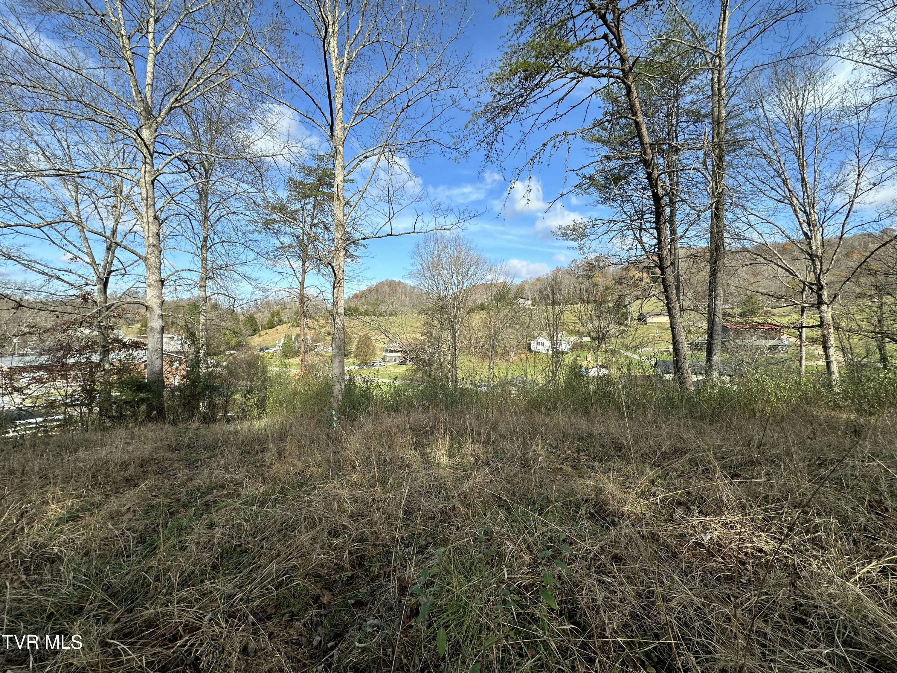 2979 Manville Road, Gate City, Virginia image 28