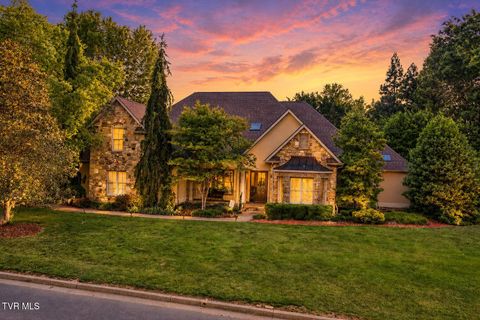 Photo of 500 Magnolia Ridge Drive, Jonesborough, TN 37659 (MLS # 9995582)