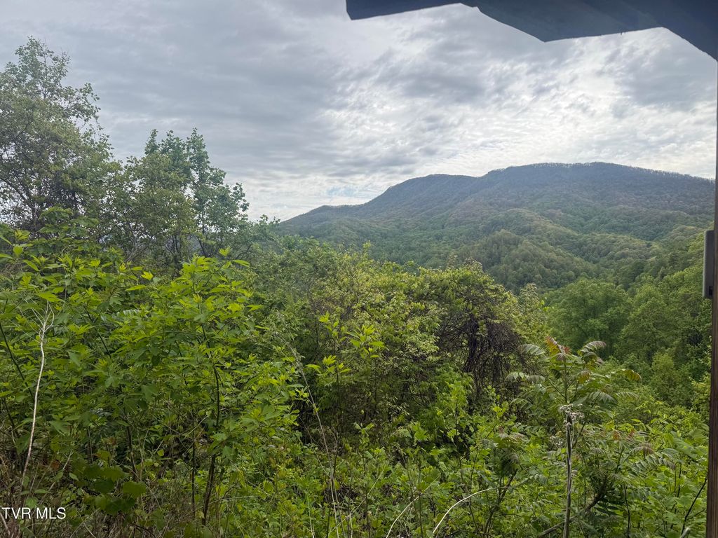 Photo of 174 Doty Road, Roan Mountain, TN 37687 (MLS # 9994730)