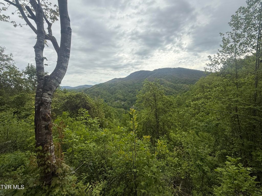 Photo of 174 Doty Road, Roan Mountain, TN 37687 (MLS # 9994730)