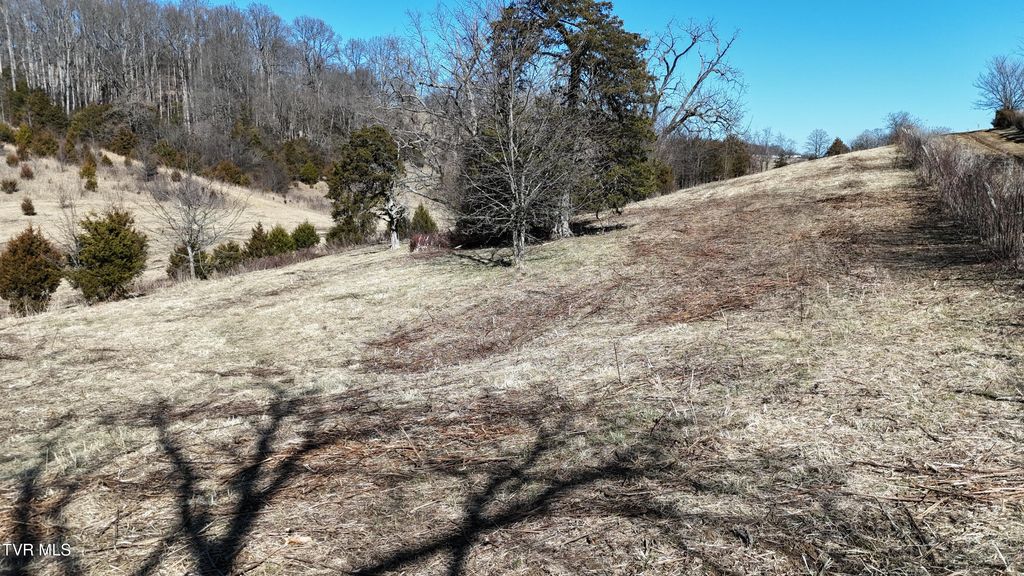 Photo of 3 Methodist Ridge Road, Telford, TN 37690 (MLS # 9991351)