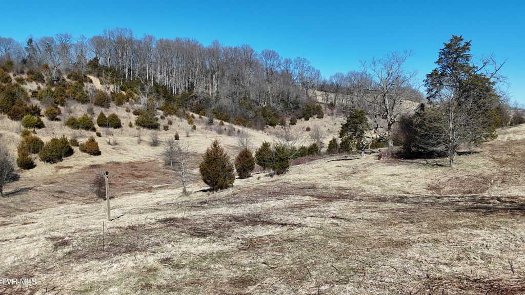 Photo of 3 Methodist Ridge Road, Telford, TN 37690 (MLS # 9991351)