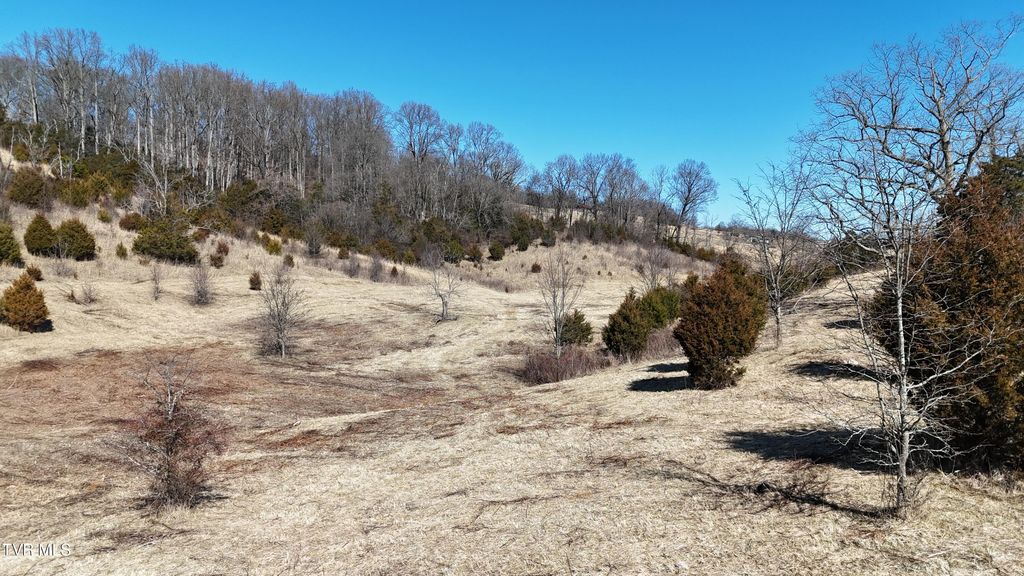 Photo of 3 Methodist Ridge Road, Telford, TN 37690 (MLS # 9991351)