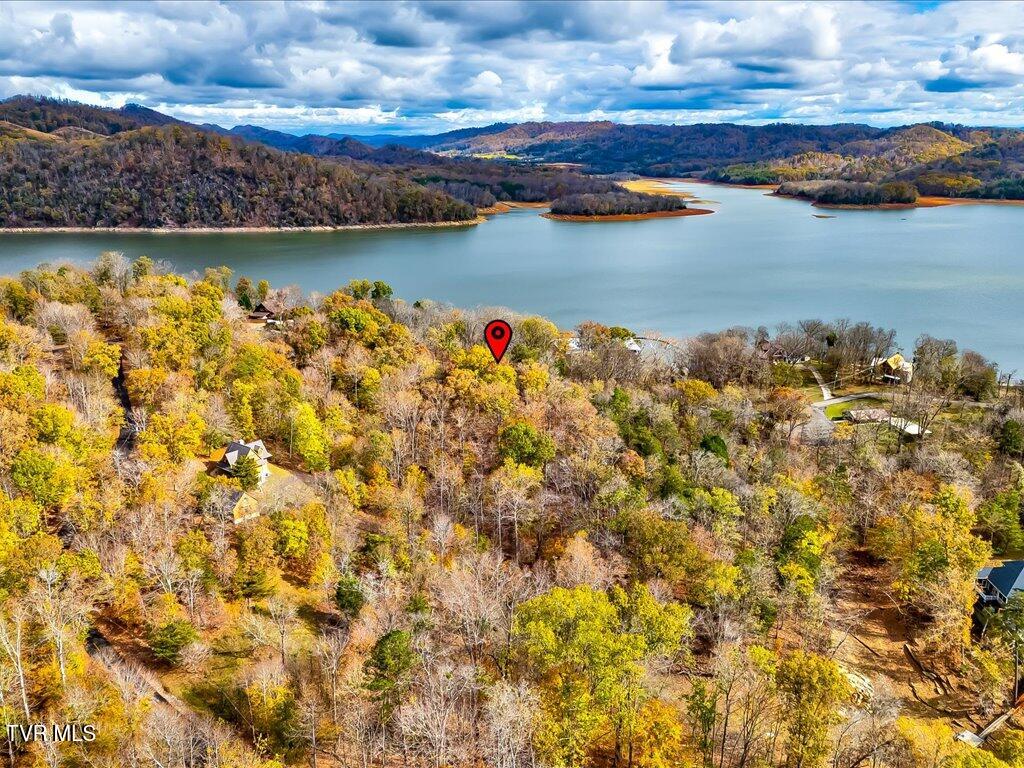 365 Chelaque Way, Mooresburg, Tennessee image 14