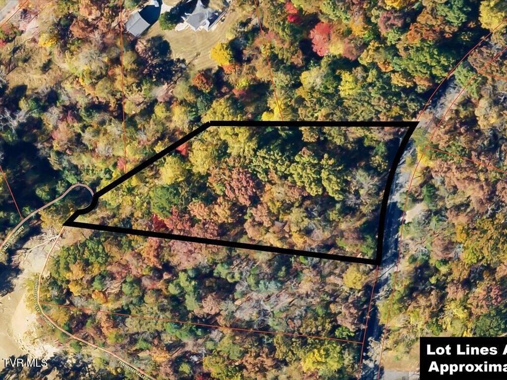 Photo of 365 Chelaque Way, Mooresburg, TN 37811 (MLS # 9973645)