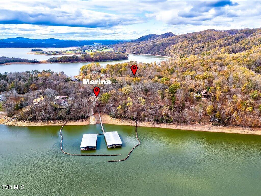 365 Chelaque Way, Mooresburg, Tennessee image 17