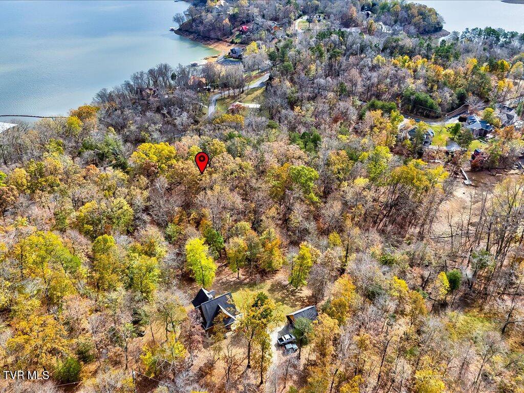 365 Chelaque Way, Mooresburg, Tennessee image 20